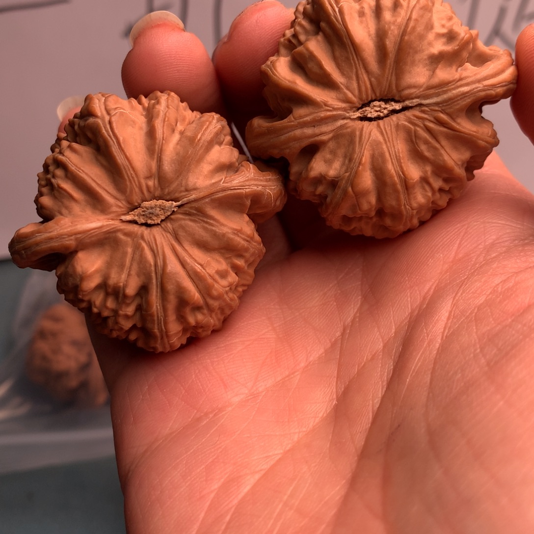 就***我白狮子45斤肉粉三包共