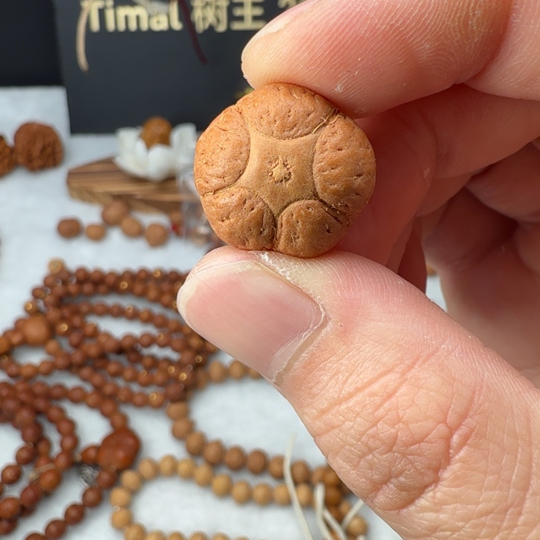 吊坠凤眼菩提20五星厚14.67未打孔