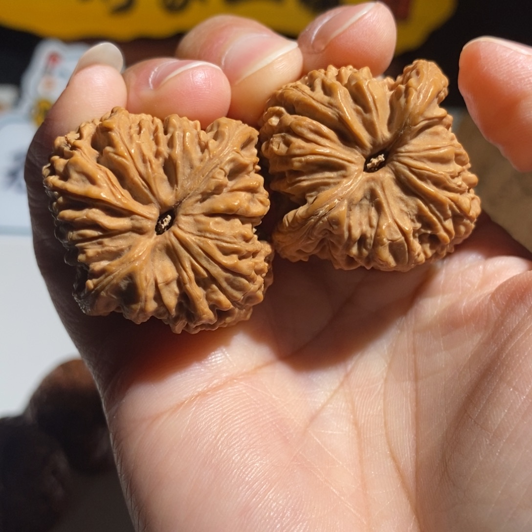 机***少大叶紫檀（黑酸枝木类）