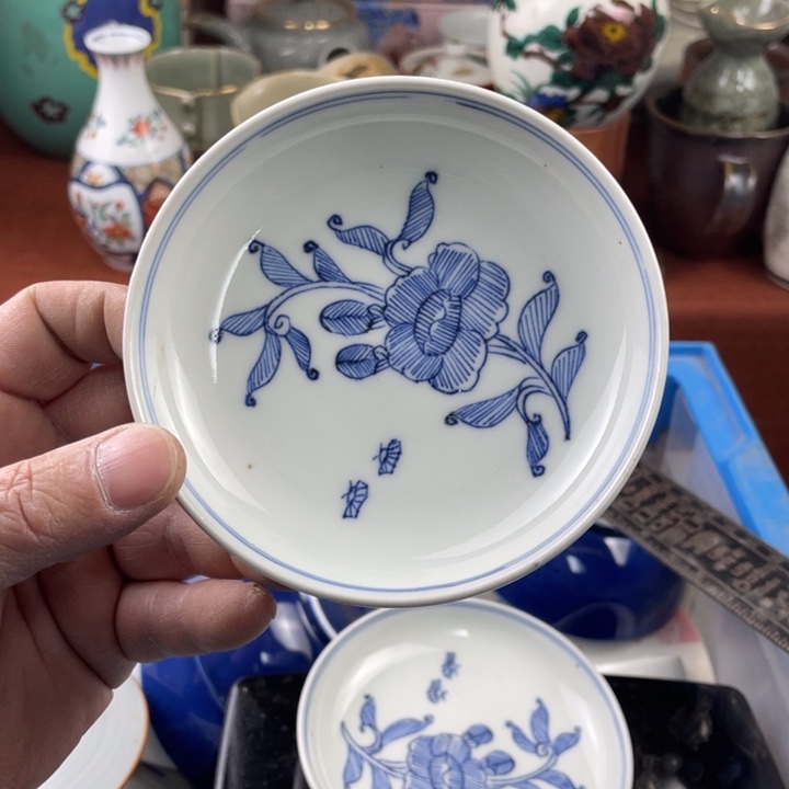 碟开播了开播了开播了