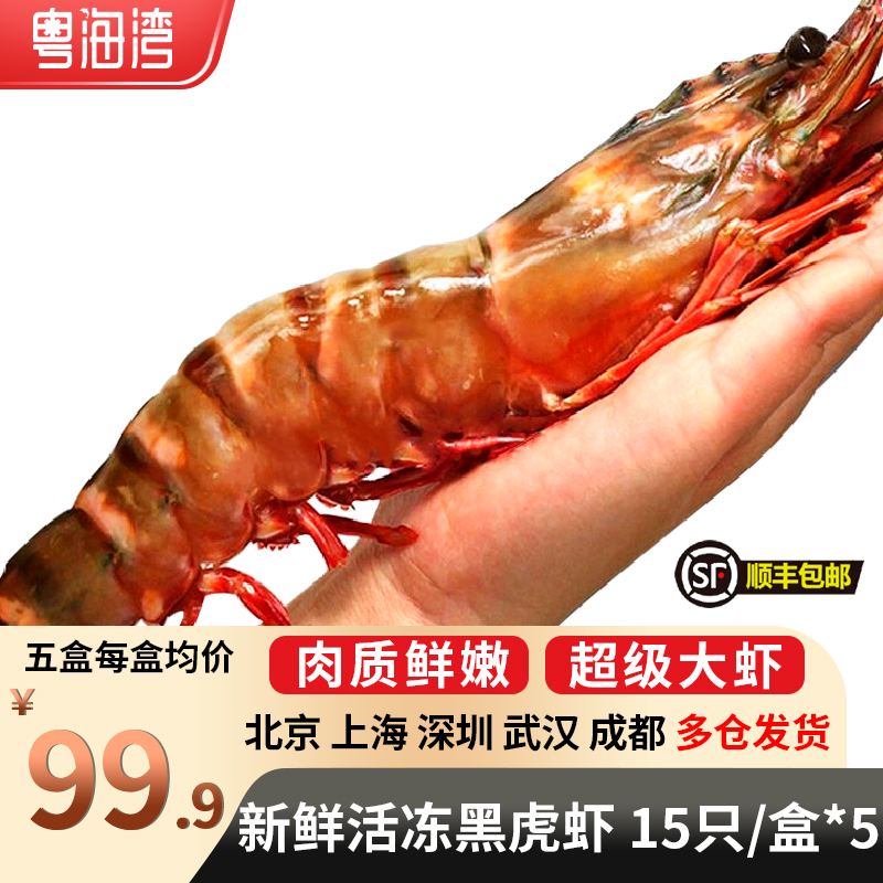 超大黑虎虾 肉质鲜嫩 新鲜冷冻大虾 老虎虾海鲜年货送礼 冬日火锅