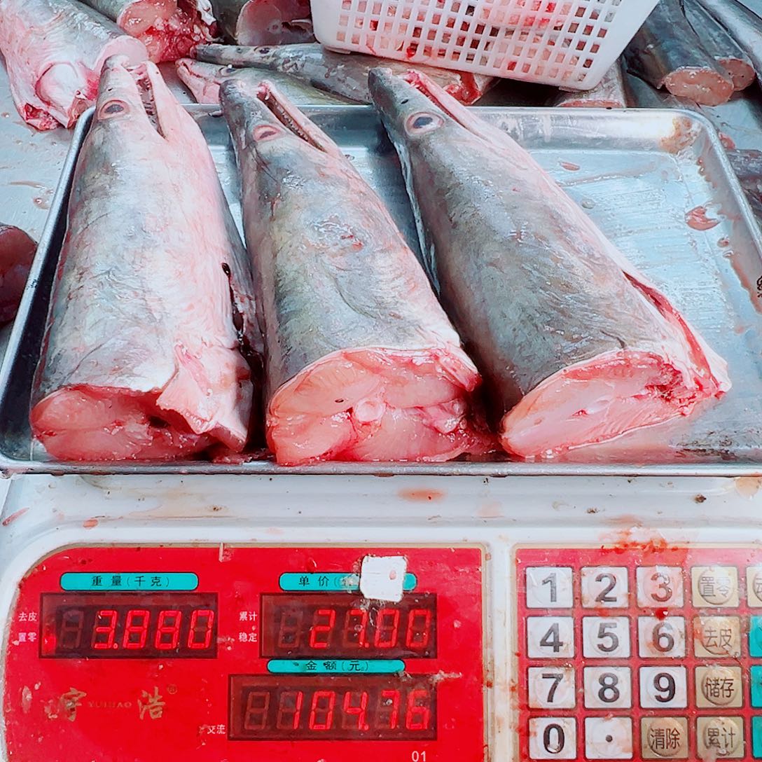 中国大陆三个鳗鱼头