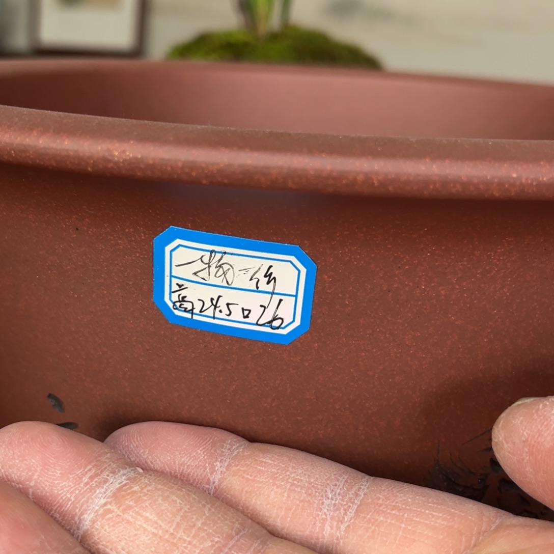 紫砂晴*@高温正宗手工花盆