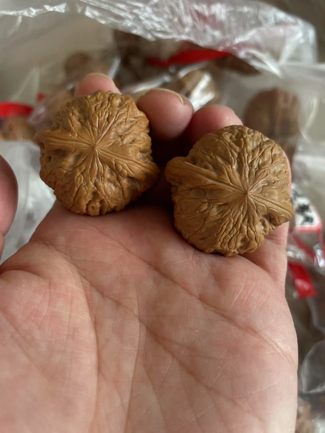 文玩核桃铁锤妹妹