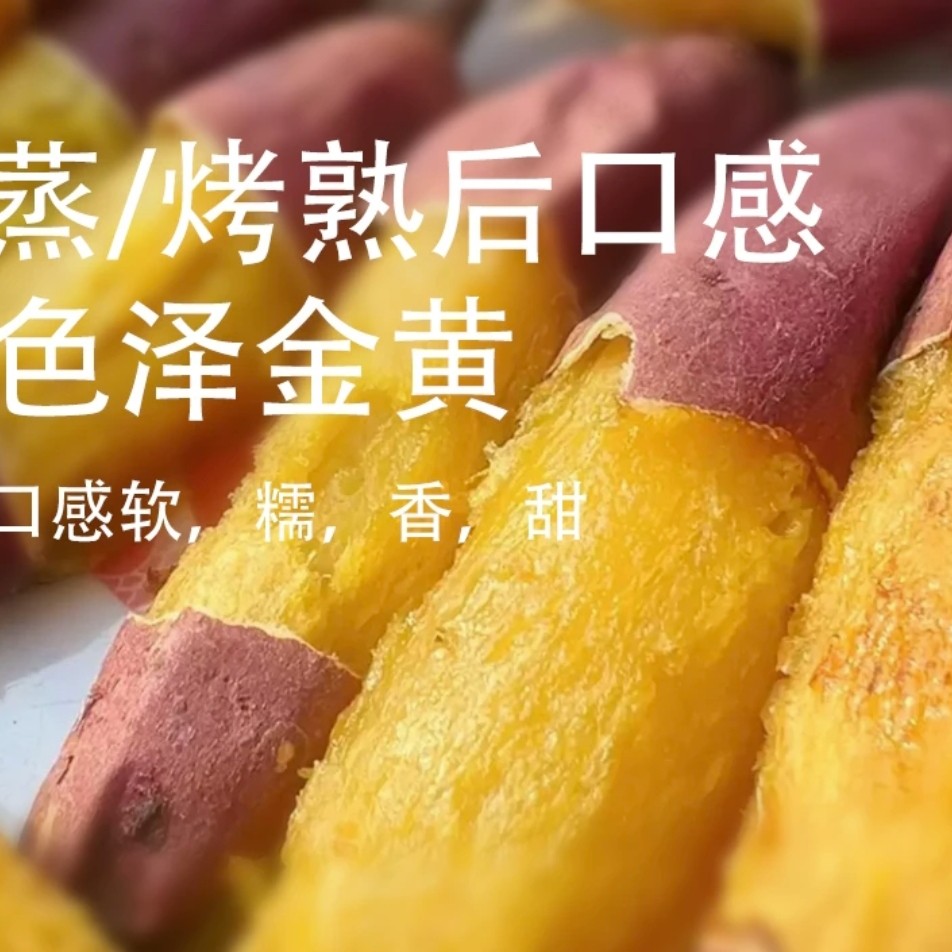 正宗岳龙红瑶蜜薯已糖化5斤装