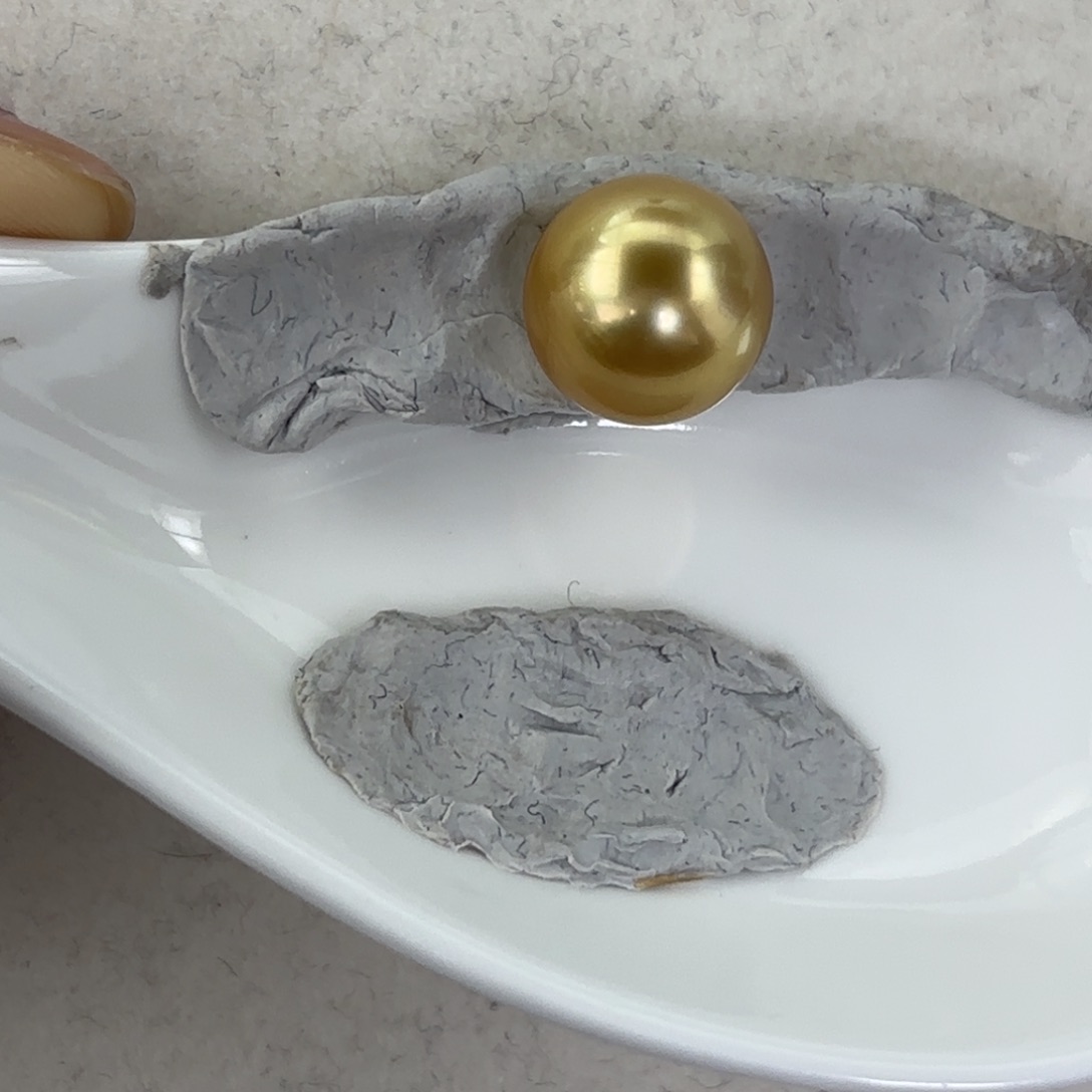 定制海水珍珠裸珠未镶嵌12-13mm金珠裸珠