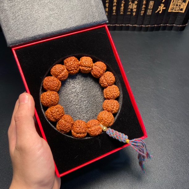 超头新籽吊炸天（17号）