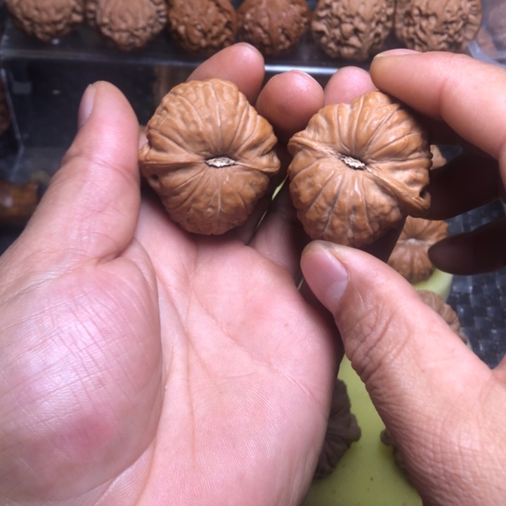 郑***义大叶紫檀（黑酸枝木类）