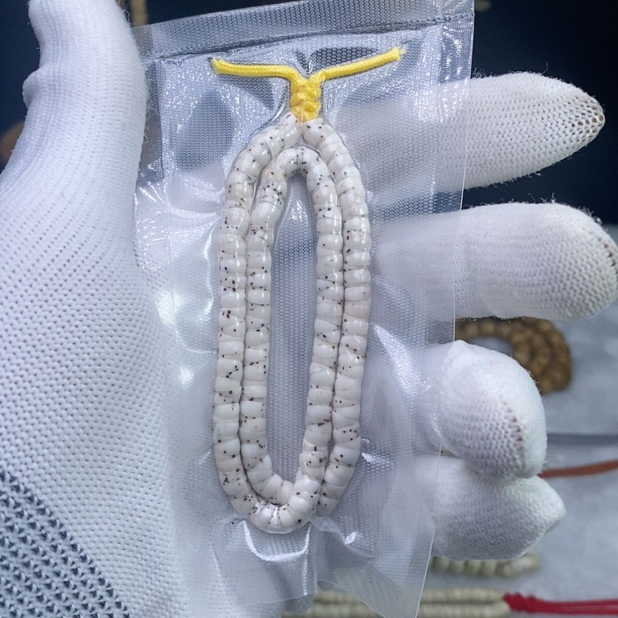 【闪购商品】星月菩提手串l*卡5原生态数星星大肠