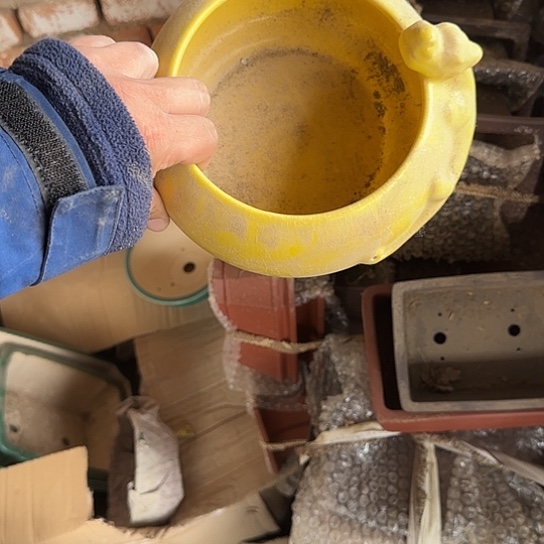 是因为她太喜欢他这个性格啊笑哈