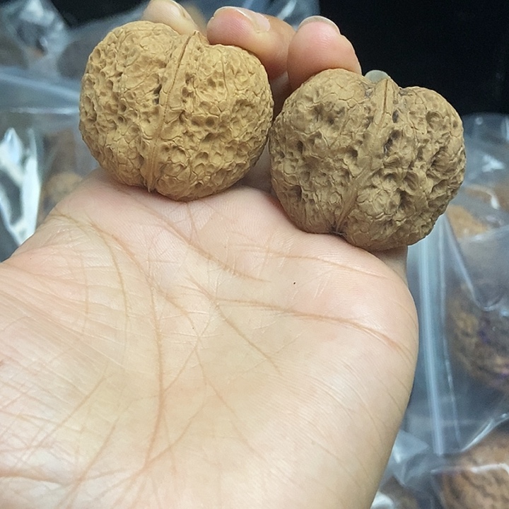 木质类云南铁核桃基地20