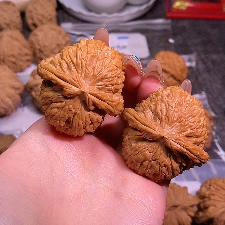 42➕全品打底白狮子