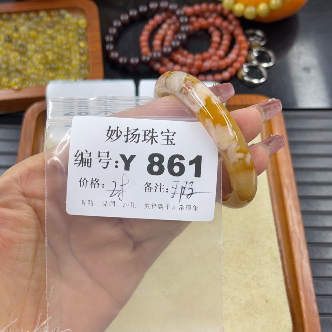 硅化珊瑚（珊瑚玉）瑕未镶嵌馨*