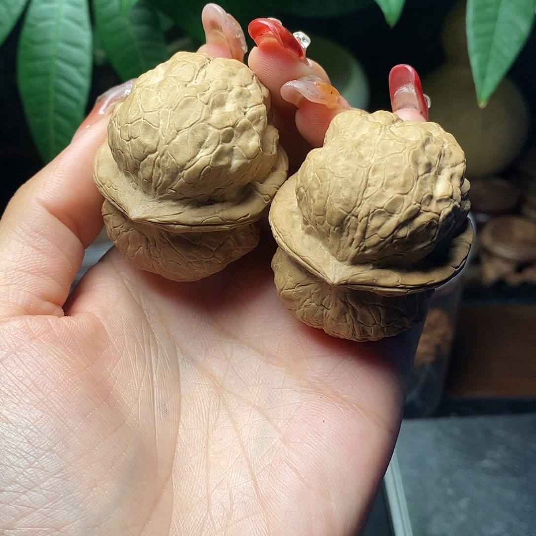 文玩核桃把件馬**功金蟾疙瘩包