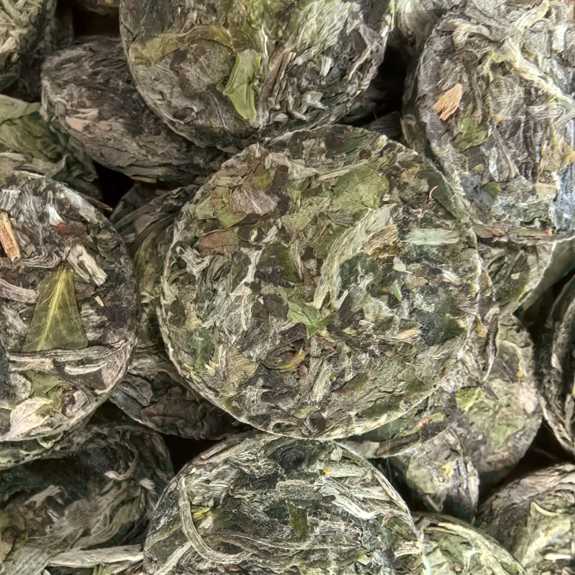 2025月光白茶小圆饼（紧压茶）