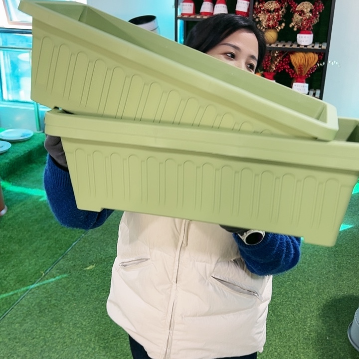 特价长方形长56宽25高16果绿带内胆3只