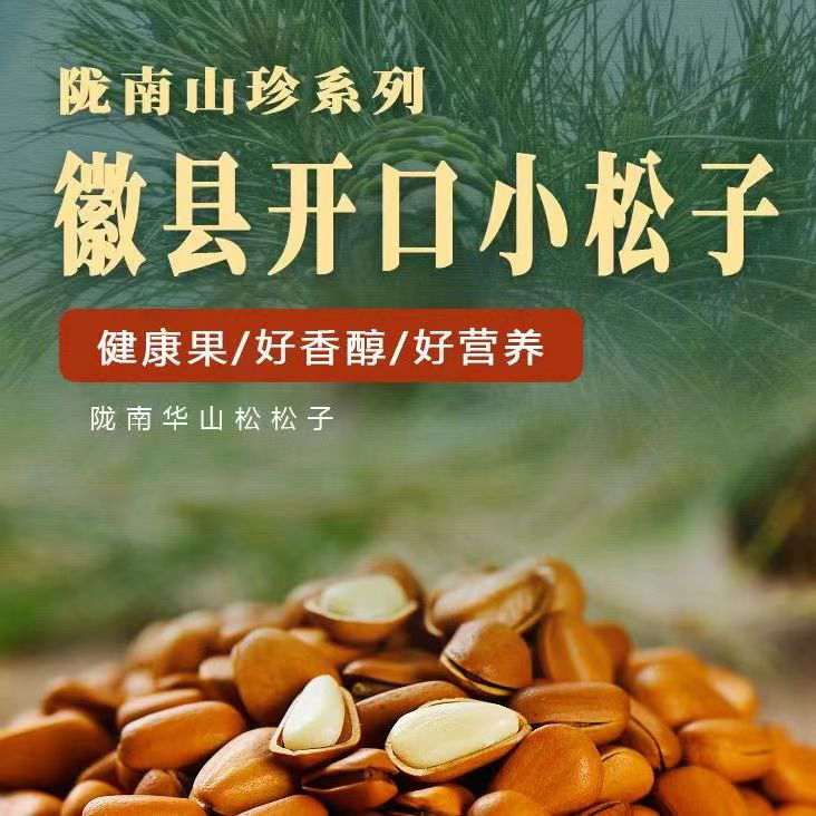 天水薄壳松子2024新货开口小香松坚果干果孕妇零食批发松子