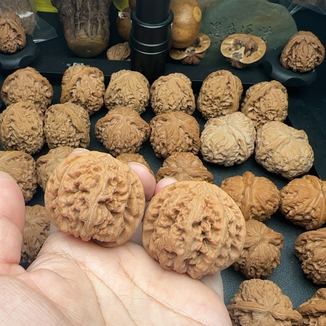 42尺尖微黄大粗筋
