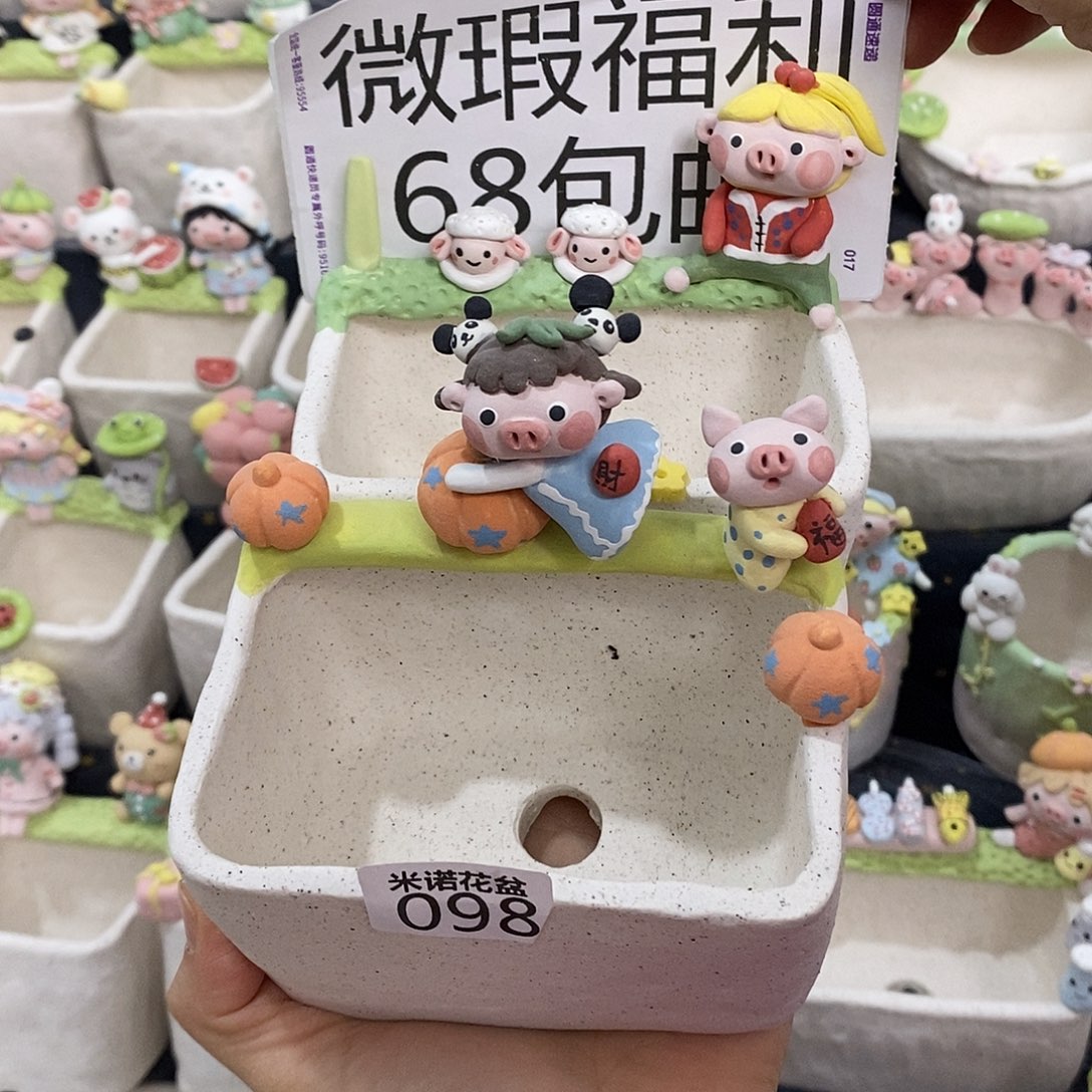 米诺多肉植物花盆098