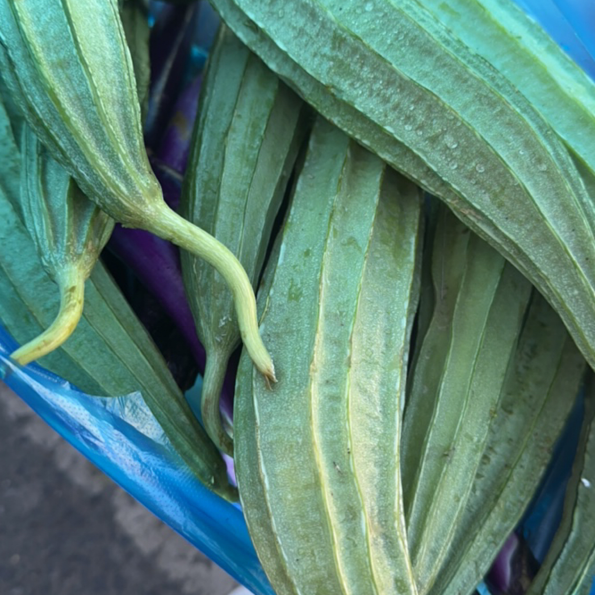 仙居农家自种现摘八角棱角丝瓜清甜大长肉水瓜新鲜蔬菜