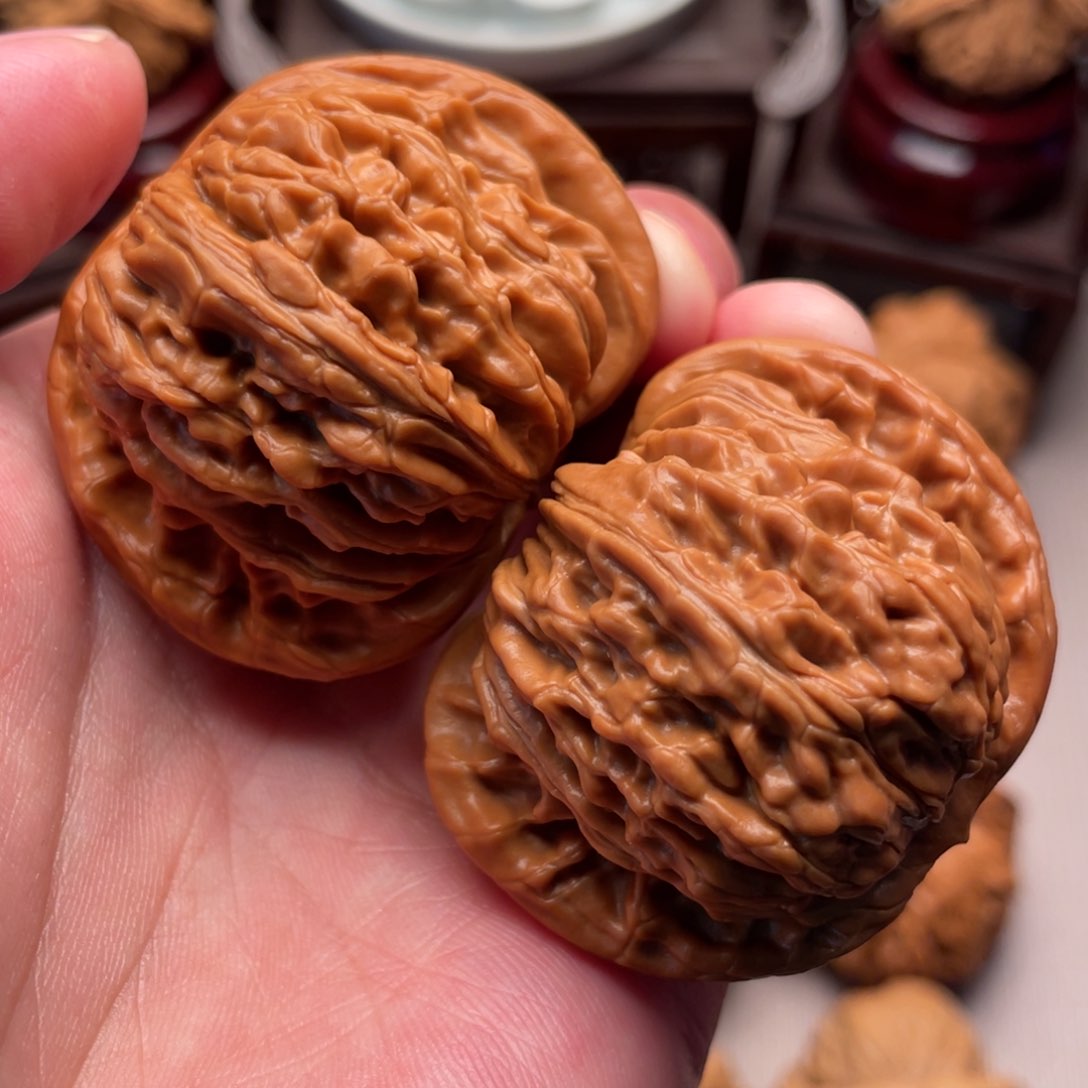 毕业绝配正宗汉高楼45+