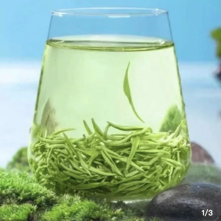 【买半斤送半斤】2025年新茶高山云雾绿茶毛尖茶叶浓香型