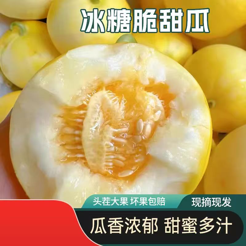 正宗头茬河南冰糖脆小蜜蜂甜瓜新鲜现摘脆甜应季水果