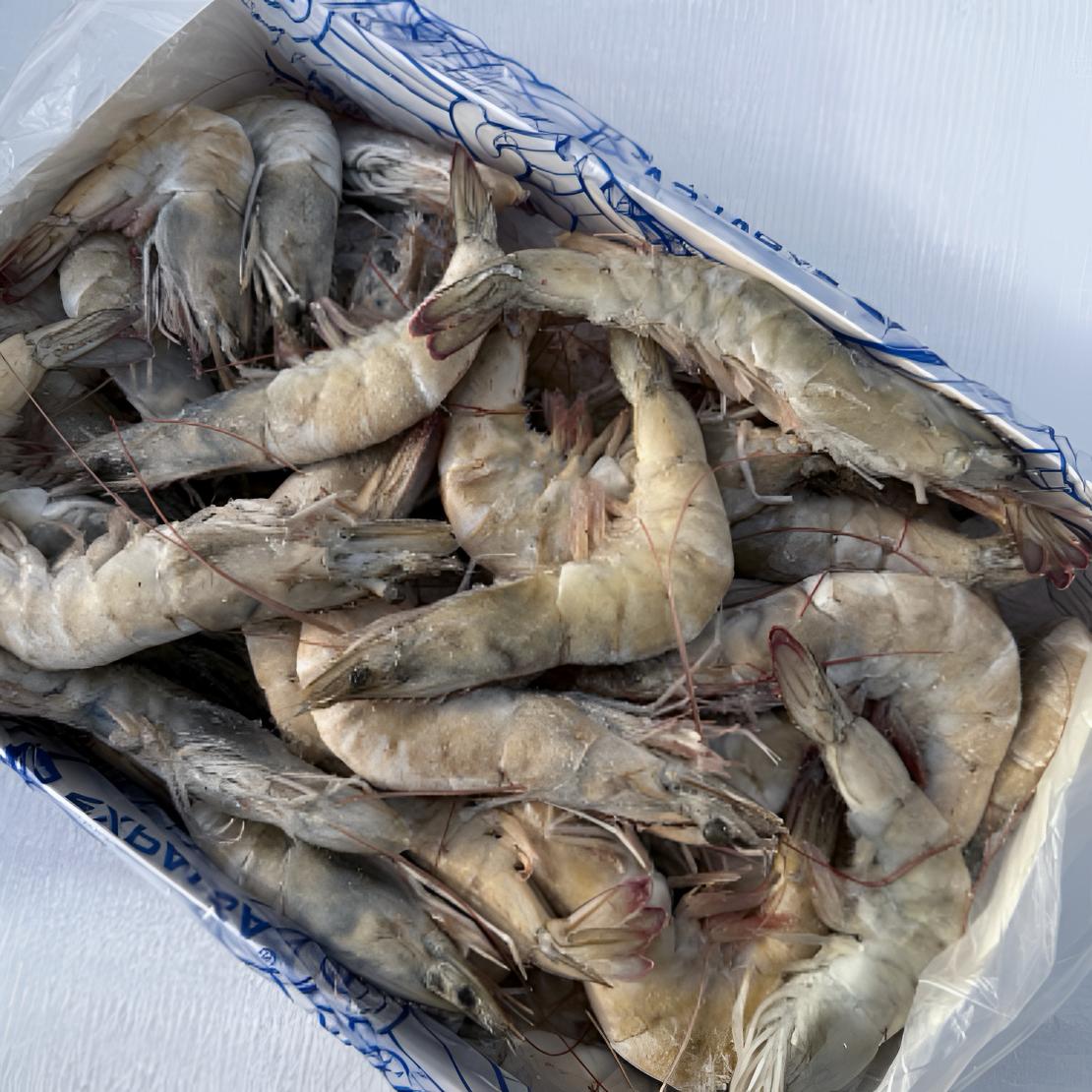 厄瓜多尔白虾30-40盐冻三斤/盒大虾