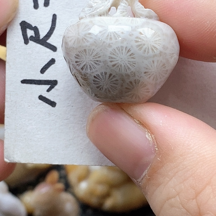 颈饰未镶嵌硅化珊瑚（珊瑚玉）