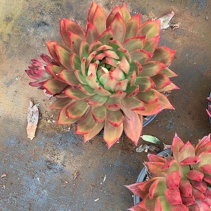 我****?每日特价活动开始啦