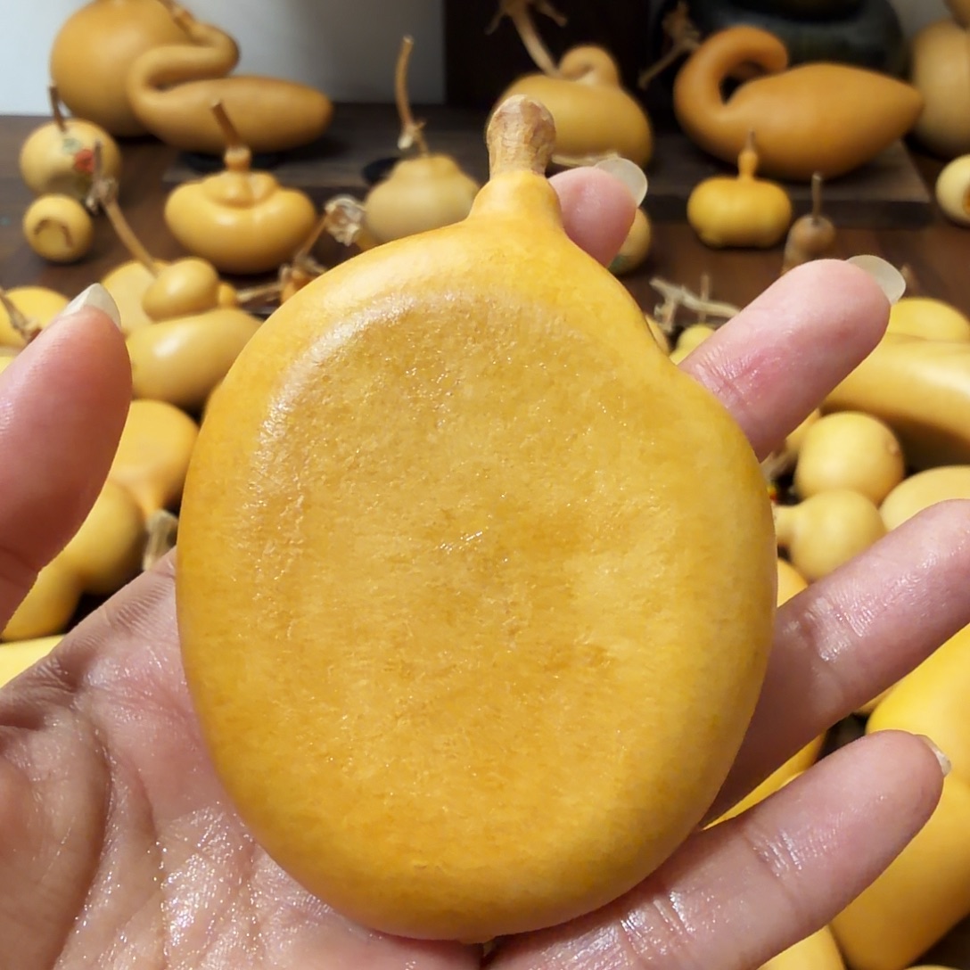 纯天然的真葫芦 8