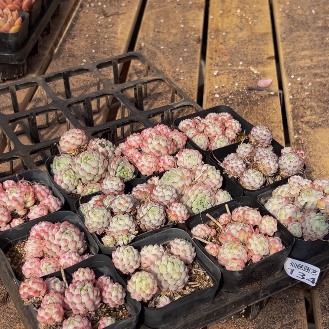 134大热天的一个小时后我