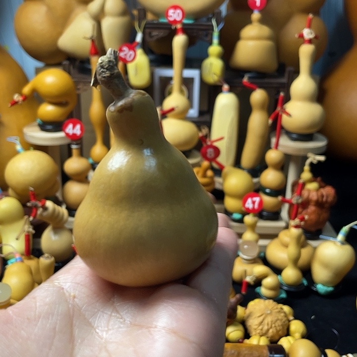 逍***在葫芦丝老师在讲台前讲