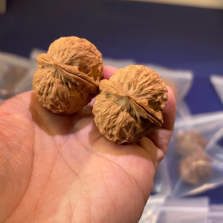 文玩核桃吊坠寻龙元宝