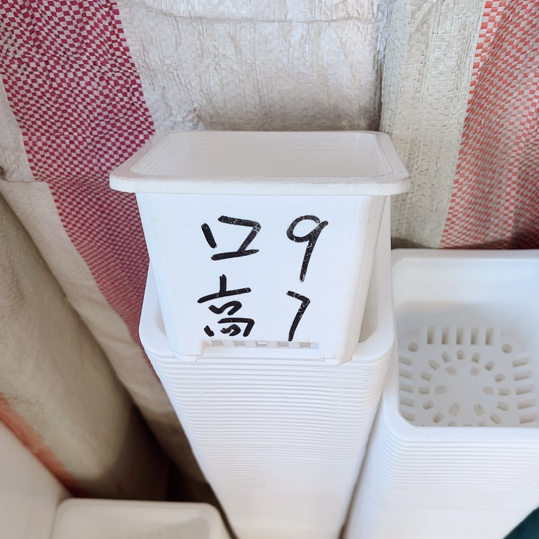 塑料福利款9方白色盆20个无托