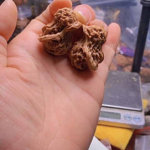 桃核吊坠盘山小鸟