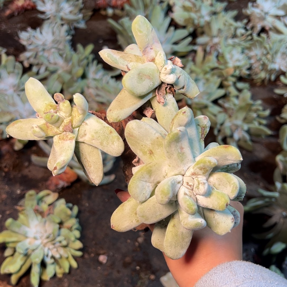 1675哈哈哈哈哈哈哈哈