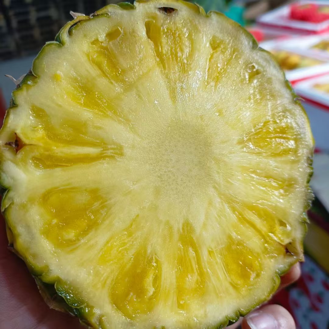 无冠金菠萝（放至微软食用）