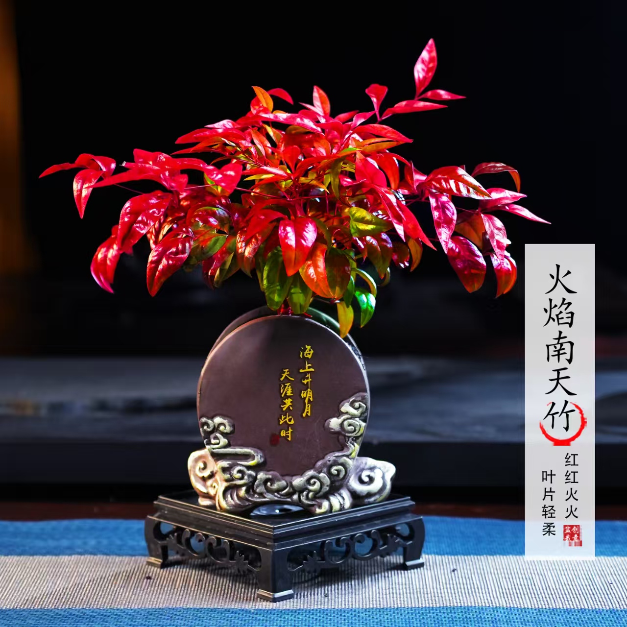 【越冷越红】火焰南天竹客厅绿植桌面盆栽好养易活禅意创意盆景