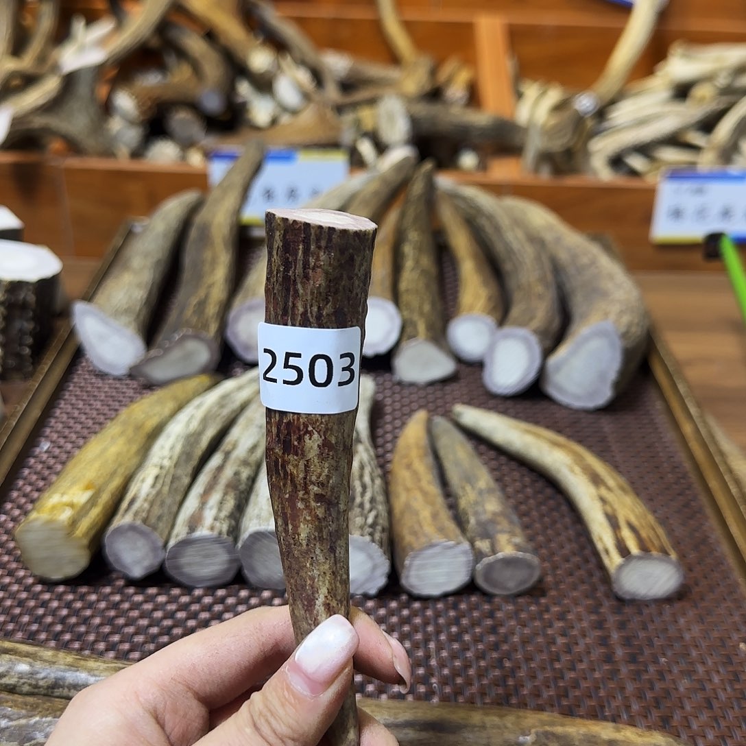 手串/手链鹿骨角尖2503