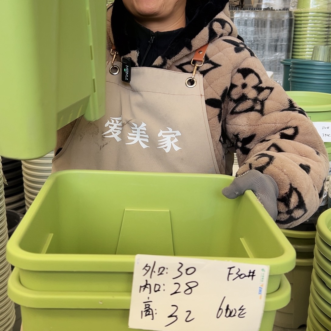 方盆F30#果绿色3个无托
