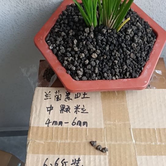 蕙****兰菌黑山土中颗粒土6.6斤