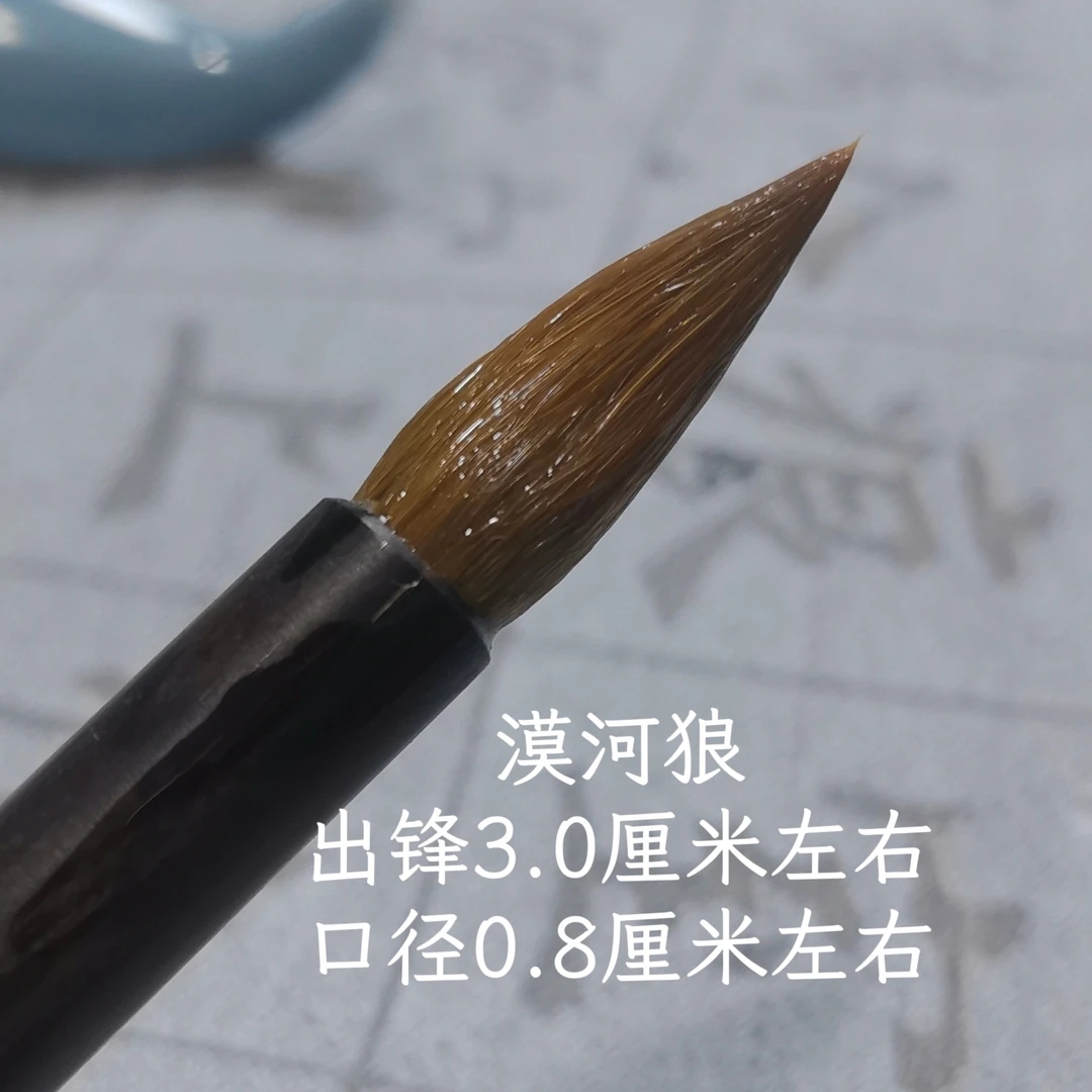 【漠河狼】出锋3.0 口径0.8 狼毫小楷  颜体 欧体二王