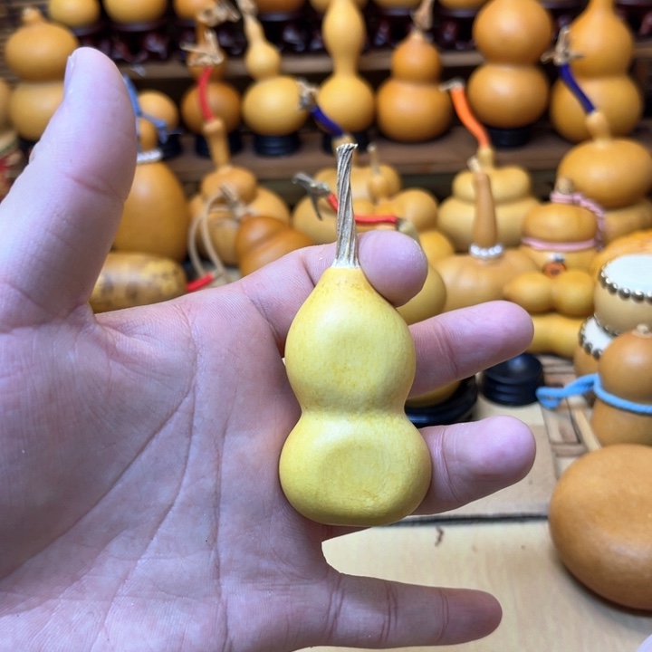 小美夹扁厚皮响籽5