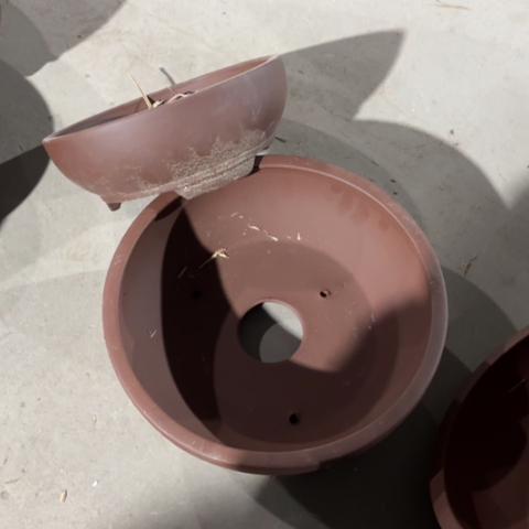 100-7。    25.5.口3个21口4个