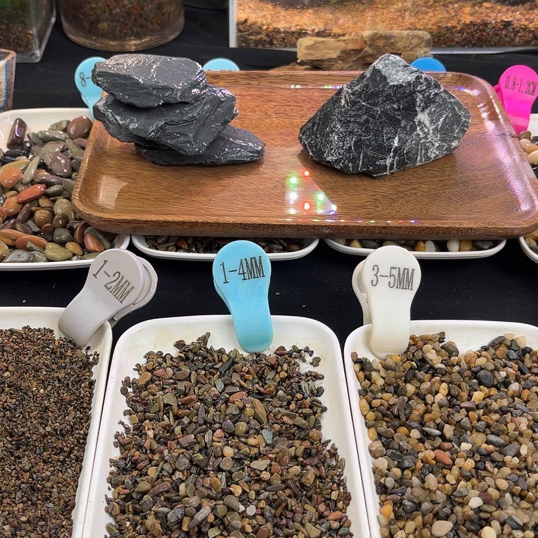 纯天然青龙石1个片岩石4个