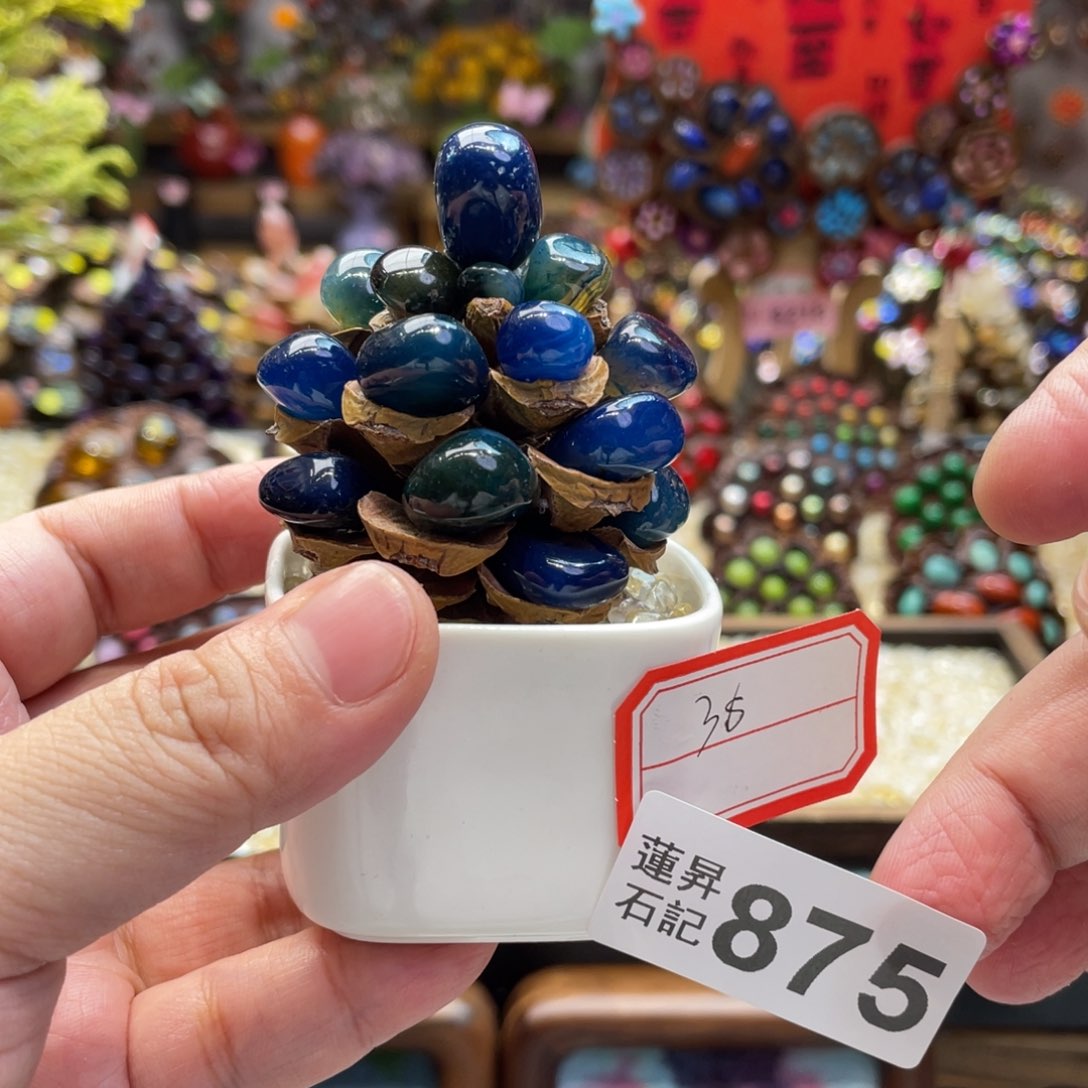 核桃木/黑胡桃（胡桃木）875一套松塔