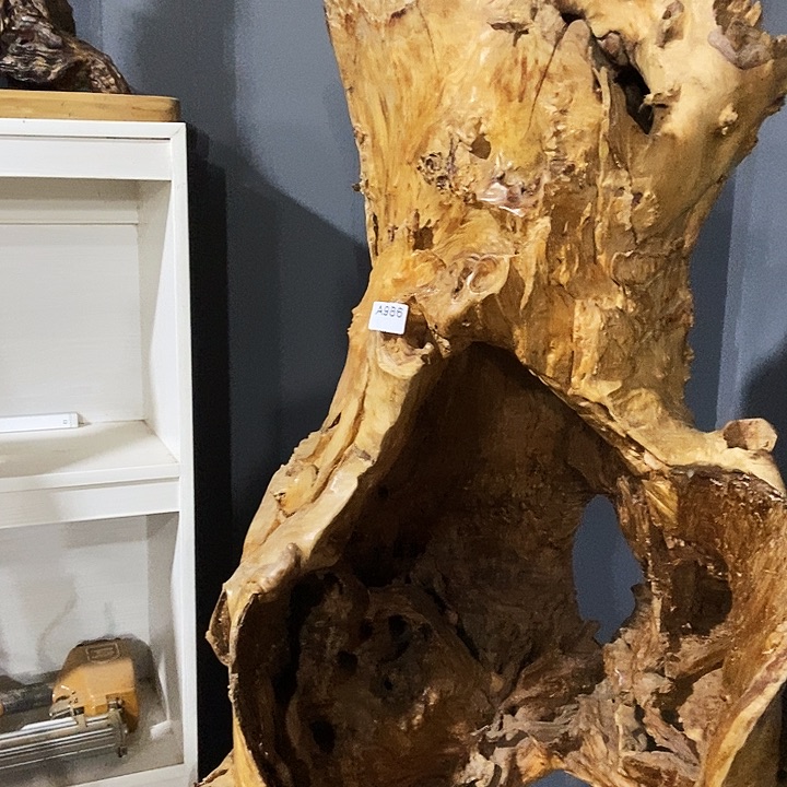 折**k986株木随行的小根艺