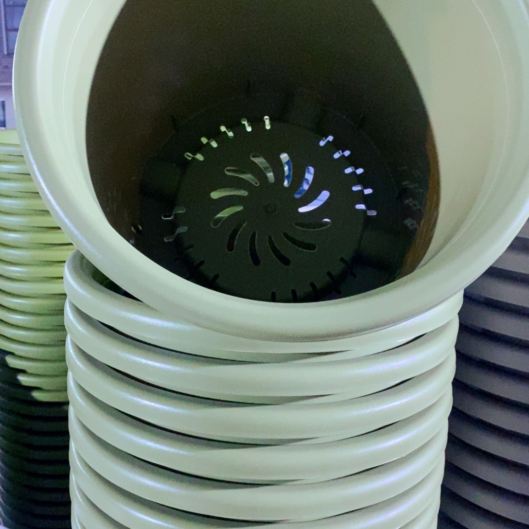 树脂特价9号无拖果绿2个