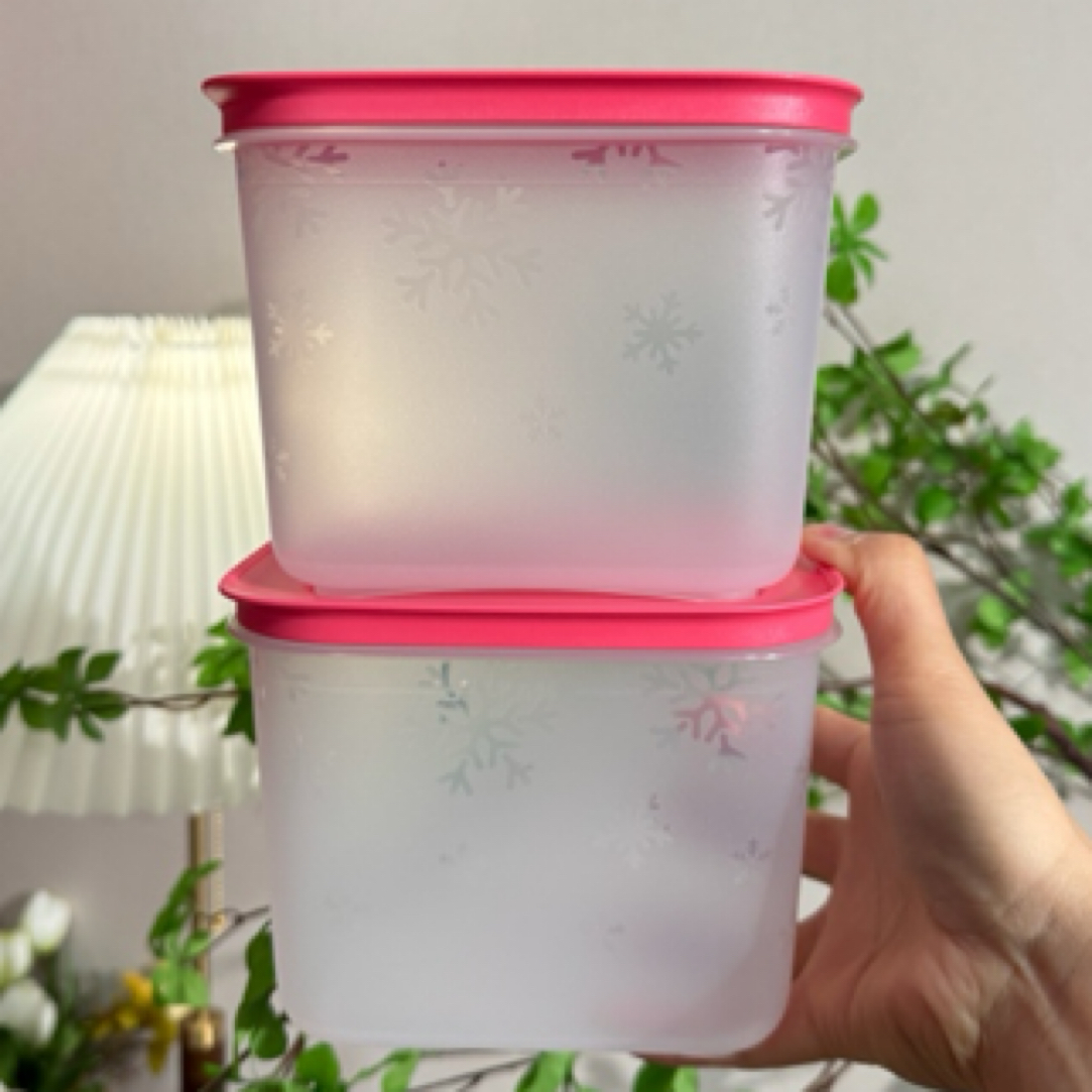 1.1升雪影冷冻保鲜密封盒
